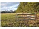 3162 New England Hwy, “Tantanoola”, Scone NSW 2337