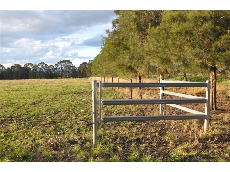 3162 New England Hwy, “Tantanoola”, Scone NSW 2337