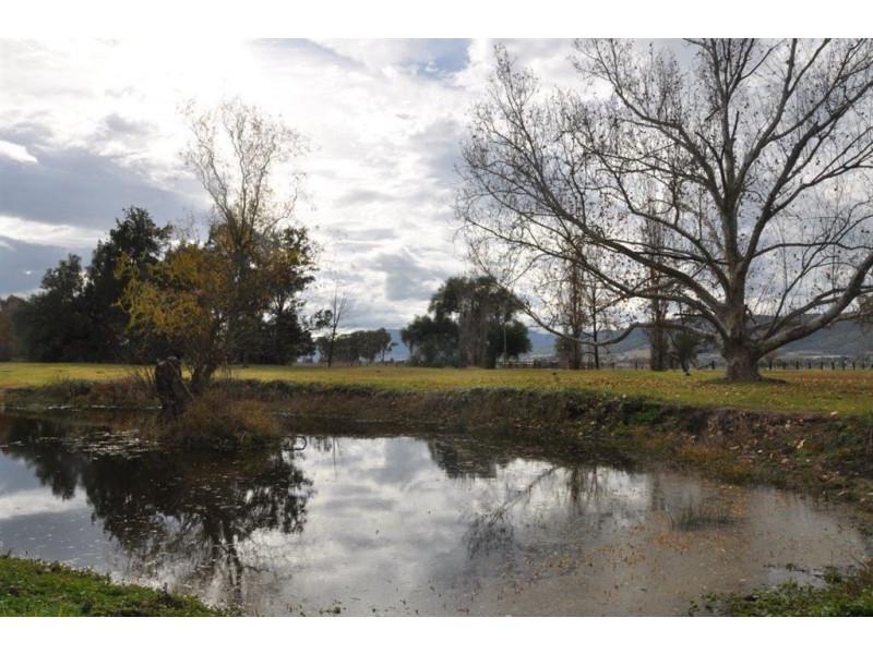 13 Satur Rd, “Waawaarawaa”, Scone NSW 2337