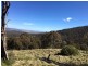 . “Claremont” Roma Rd, Merriwa NSW 2329
