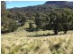 . “Claremont” Roma Rd, Merriwa NSW 2329