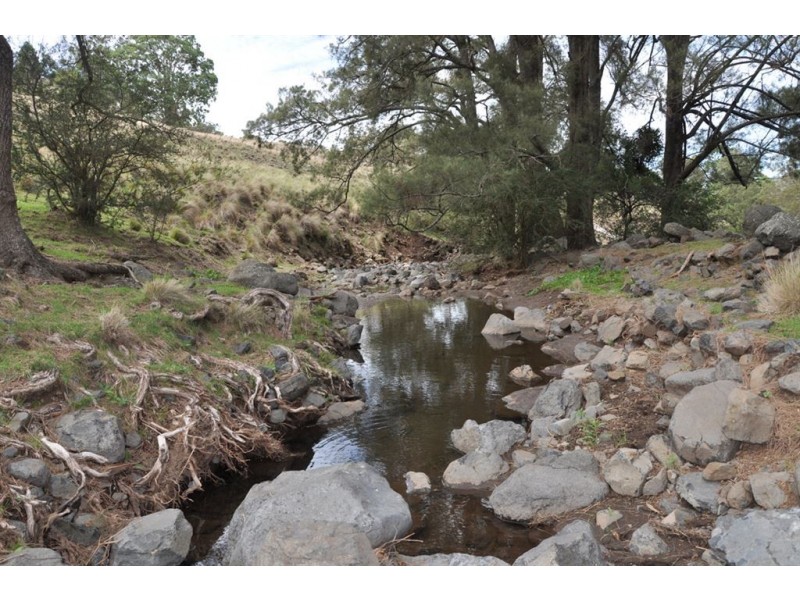 . “Towarri” Upper Dartbrook Rd, Kars Springs via, Scone NSW 2337