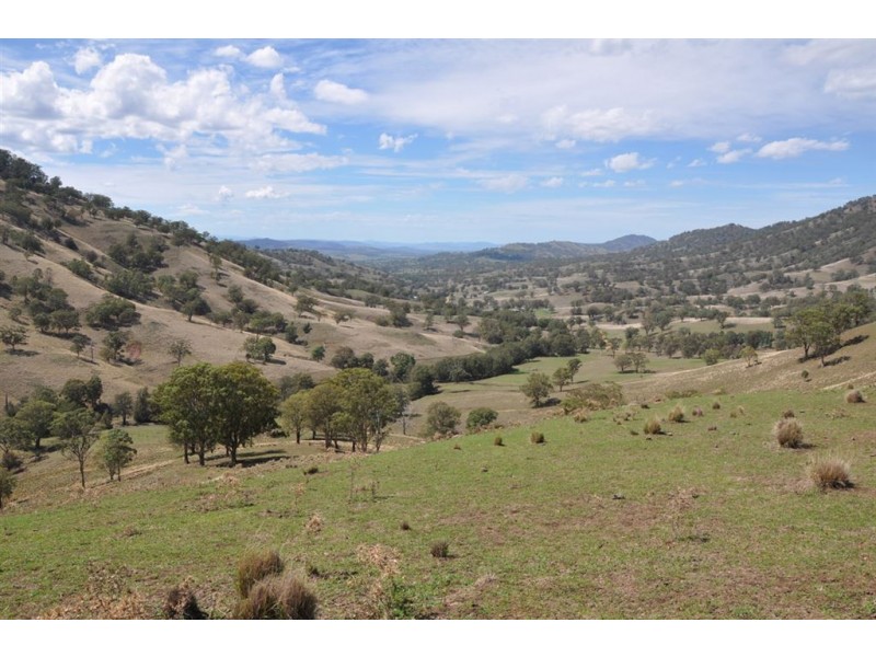 . “Towarri” Upper Dartbrook Rd, Kars Springs via, Scone NSW 2337
