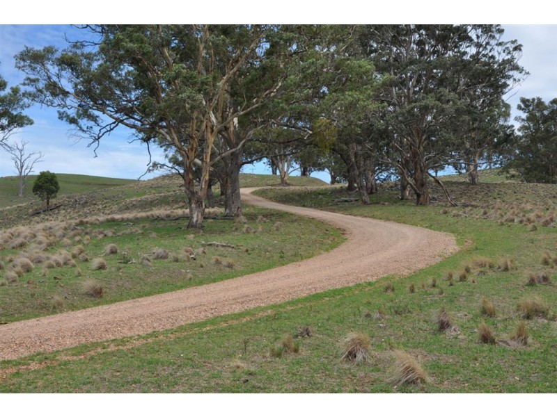 . “Towarri” Upper Dartbrook Rd, Kars Springs via, Scone NSW 2337