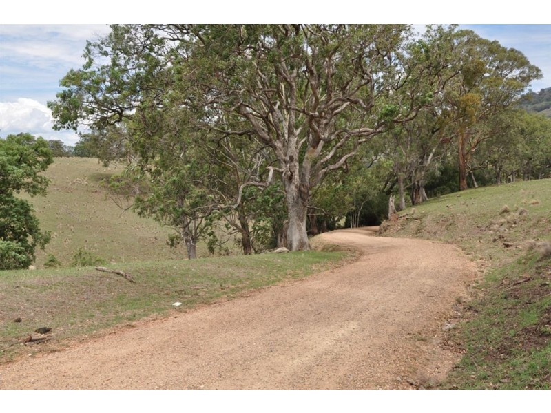. “Towarri” Upper Dartbrook Rd, Kars Springs via, Scone NSW 2337