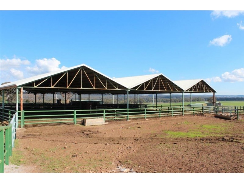 . Neilrex Rd, “Butheroo Aggregation”, Coolah NSW 2843