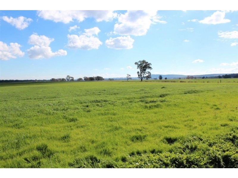 . Neilrex Rd, “Butheroo Aggregation”, Coolah NSW 2843