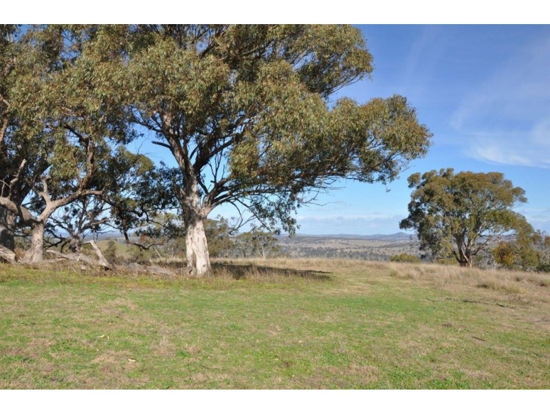 “Brawboy” Gibbergunyah Rd, Scone NSW 2337