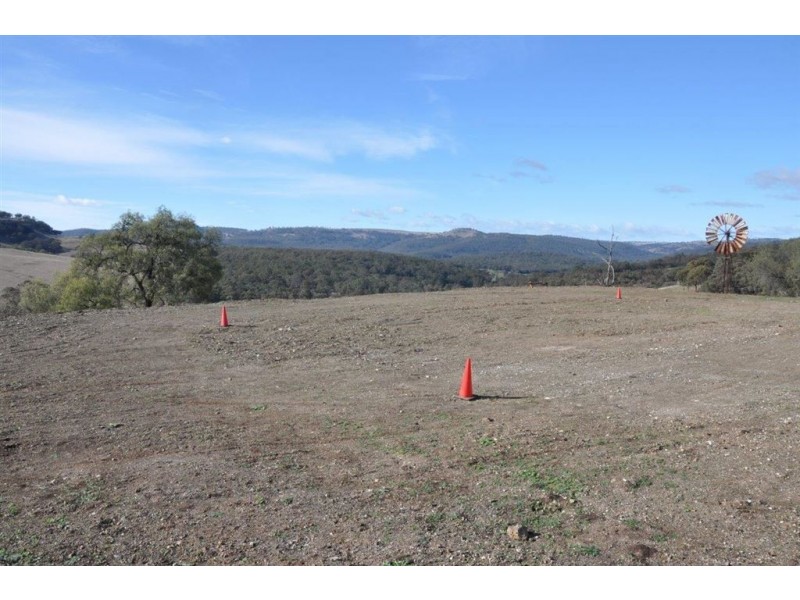 “Brawboy” Gibbergunyah Rd, Scone NSW 2337