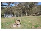 “Brawboy” Gibbergunyah Rd, Scone NSW 2337
