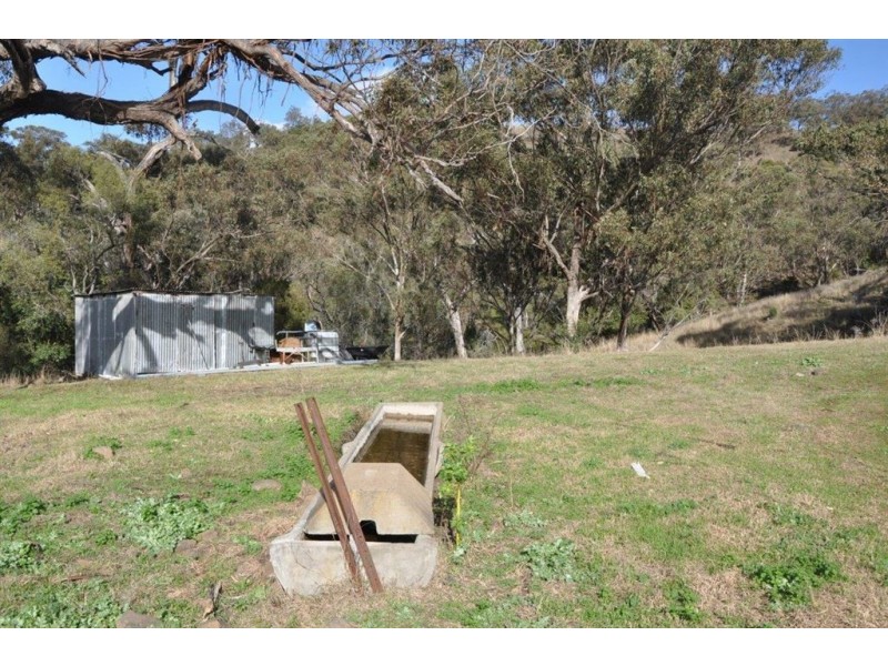 “Brawboy” Gibbergunyah Rd, Scone NSW 2337