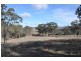 “Brawboy” Gibbergunyah Rd, Scone NSW 2337