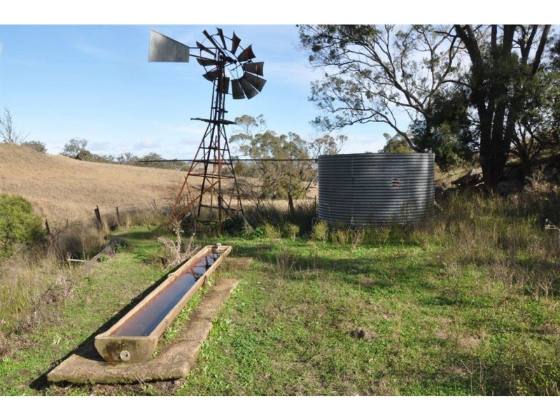 “Brawboy” Gibbergunyah Rd, Scone NSW 2337