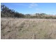 “Brawboy” Gibbergunyah Rd, Scone NSW 2337