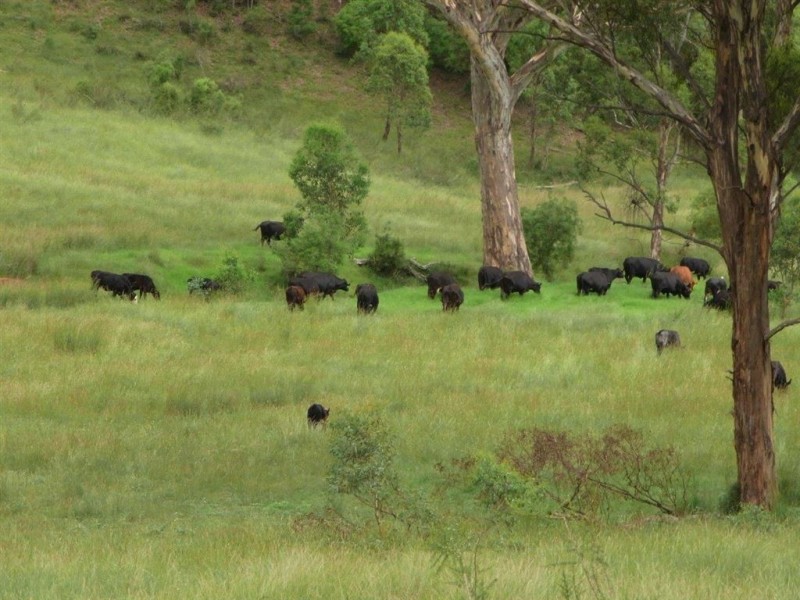 191 Stewarts Brook Rd, “Jarramarumba”, Belltrees via, Scone NSW 2337