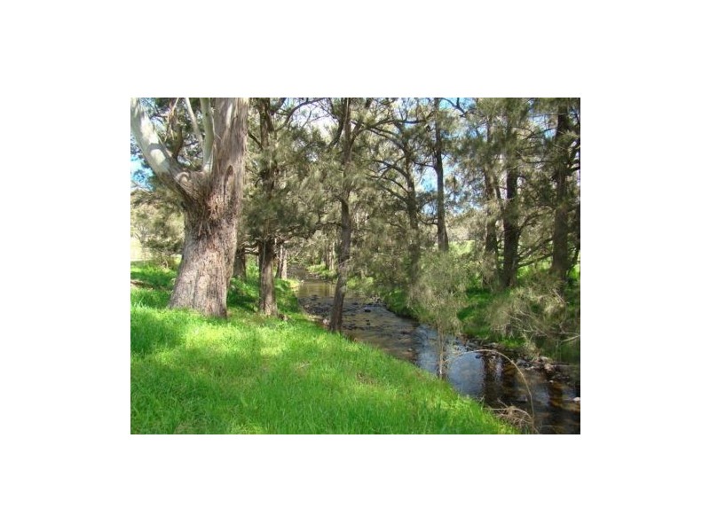 870 Pages River Rd, “West Creswell”, Murrurundi NSW 2338
