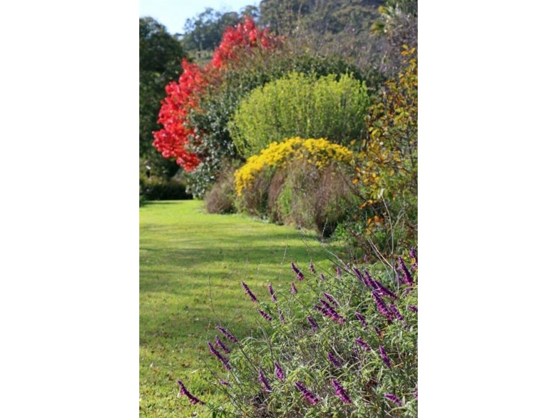 870 Pages River Rd, “West Creswell”, Murrurundi NSW 2338