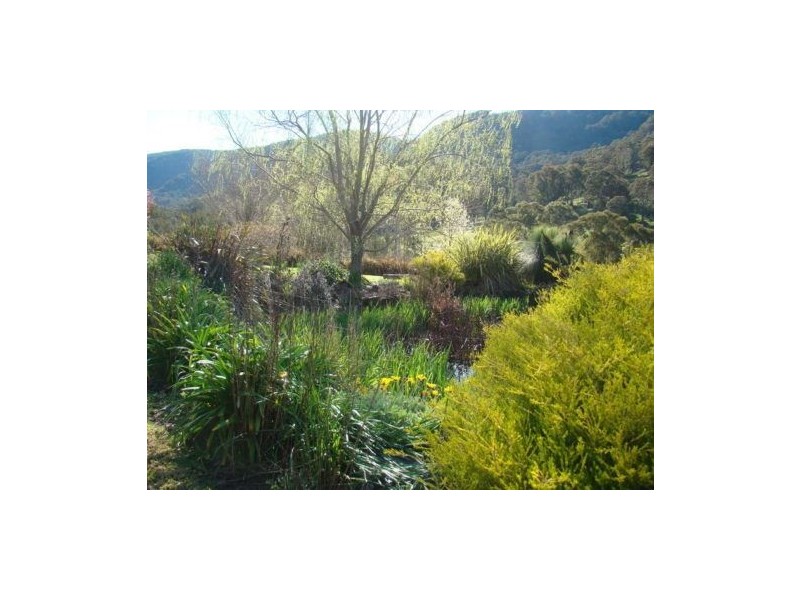 870 Pages River Rd, “West Creswell”, Murrurundi NSW 2338