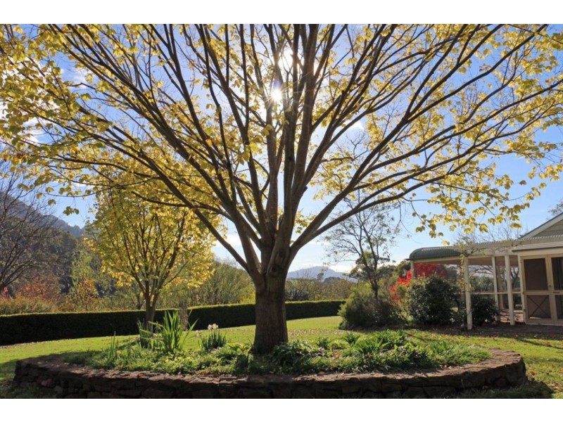 870 Pages River Rd, “West Creswell”, Murrurundi NSW 2338