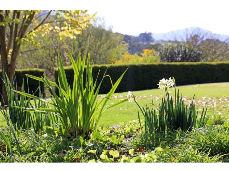 870 Pages River Rd, “West Creswell”, Murrurundi NSW 2338