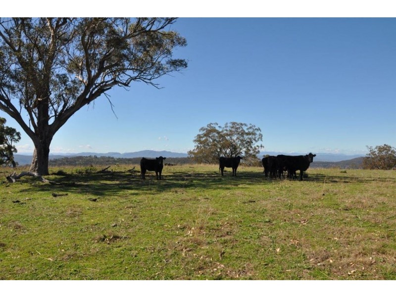 60 Sophia Creek Rd, Scone NSW 2337