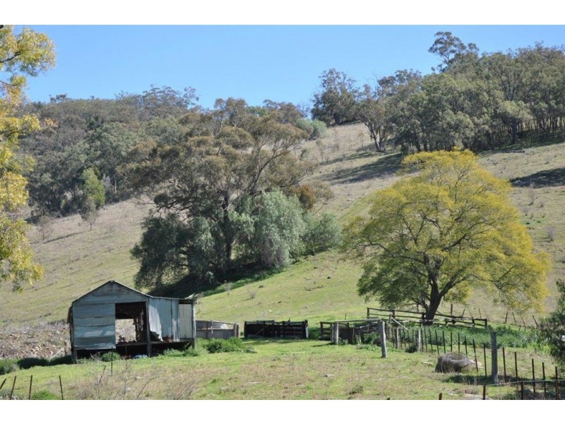 60 Sophia Creek Rd, Scone NSW 2337