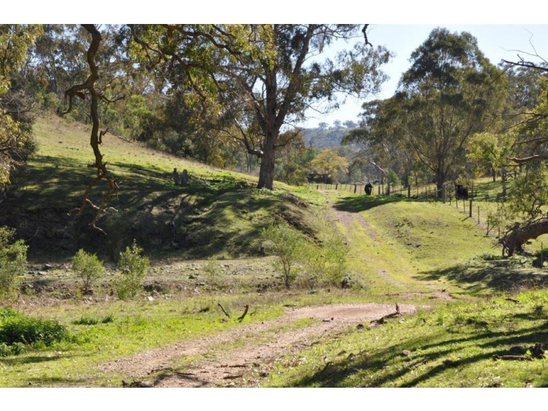 60 Sophia Creek Rd, Scone NSW 2337