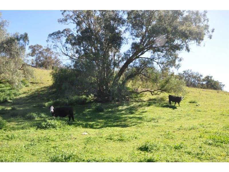 60 Sophia Creek Rd, Scone NSW 2337