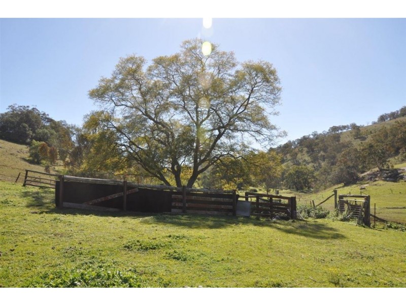 60 Sophia Creek Rd, Scone NSW 2337