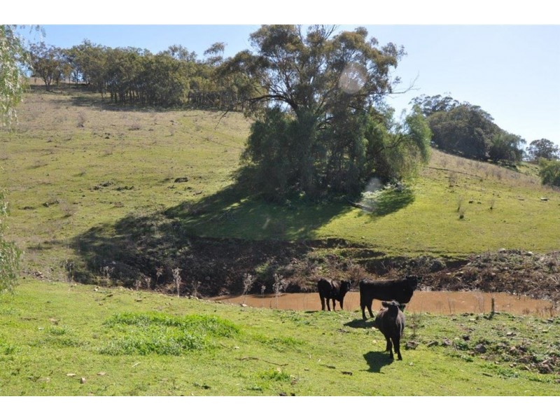 60 Sophia Creek Rd, Scone NSW 2337