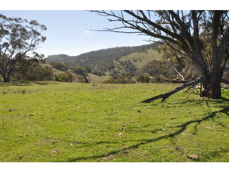 60 Sophia Creek Rd, Scone NSW 2337