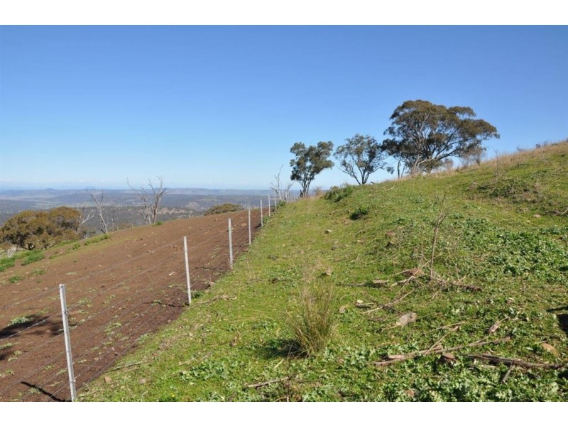 60 Sophia Creek Rd, Scone NSW 2337