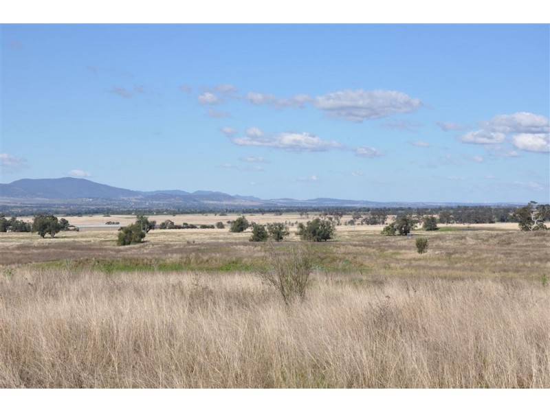 31 Moobi Rd, Scone NSW 2337