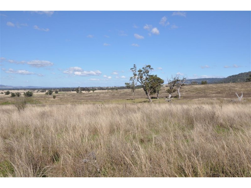 31 Moobi Rd, Scone NSW 2337