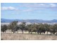31 Moobi Rd, Scone NSW 2337