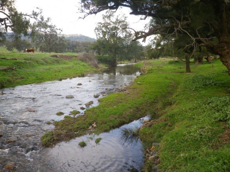 . “Valley Fields” New England Hwy, Willow Tree NSW 2339