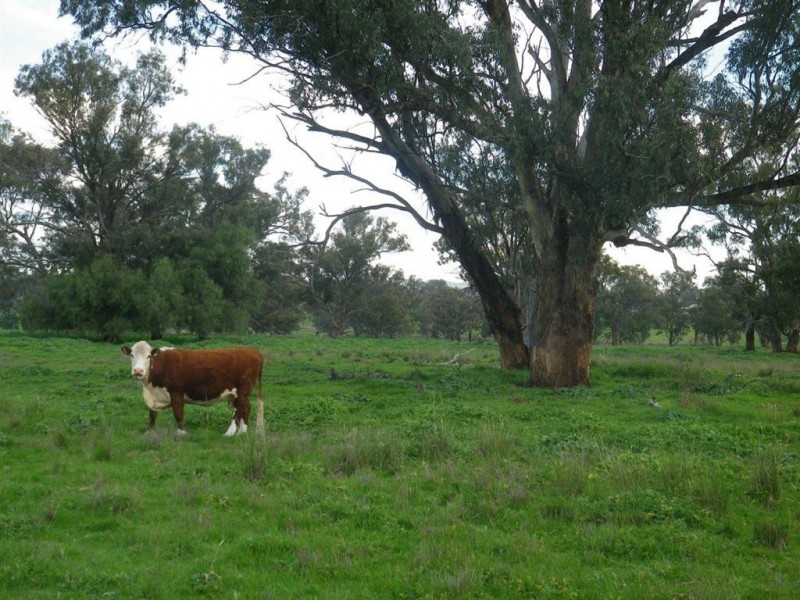 . “Valley Fields” New England Hwy, Willow Tree NSW 2339