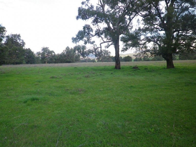 . “Valley Fields” New England Hwy, Willow Tree NSW 2339