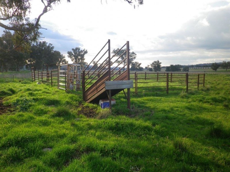 . “Valley Fields” New England Hwy, Willow Tree NSW 2339