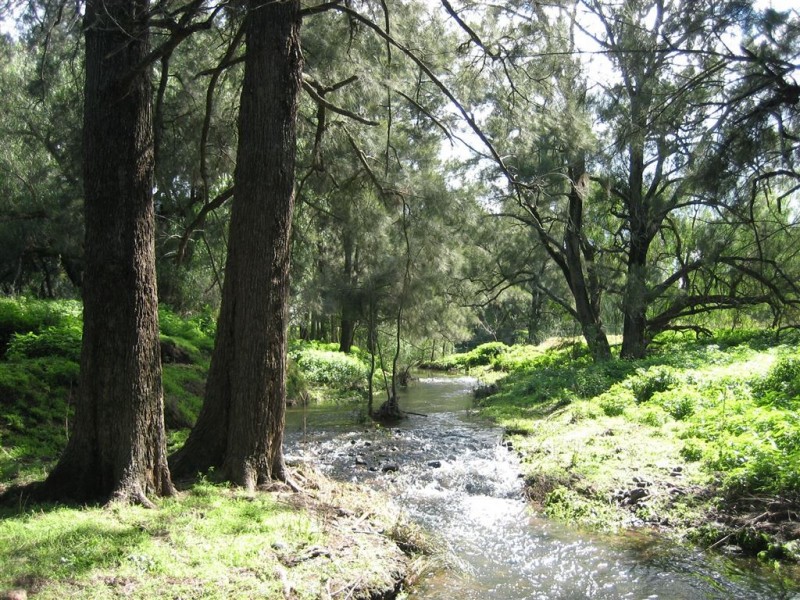 198 Dry Creek Rd, “Rutherwood”, Scone NSW 2337