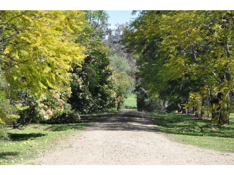 198 Dry Creek Rd, “Rutherwood”, Scone NSW 2337