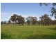 198 Dry Creek Rd, “Rutherwood”, Scone NSW 2337