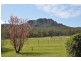 198 Dry Creek Rd, “Rutherwood”, Scone NSW 2337