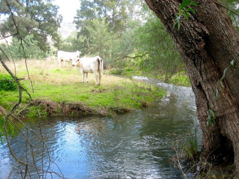 198 Dry Creek Rd, “Rutherwood”, Scone NSW 2337