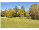 198 Dry Creek Rd, “Rutherwood”, Scone NSW 2337