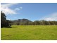 198 Dry Creek Rd, “Rutherwood”, Scone NSW 2337