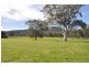 198 Dry Creek Rd, “Rutherwood”, Scone NSW 2337