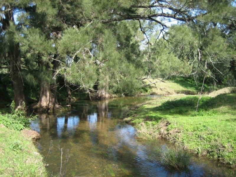 198 Dry Creek Rd, “Rutherwood”, Scone NSW 2337
