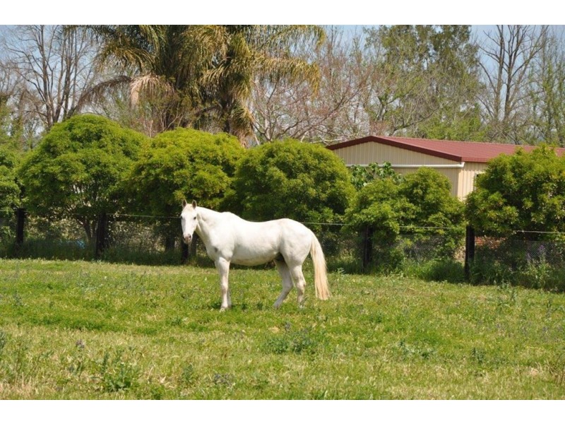 29 Liverpool St, Scone NSW 2337