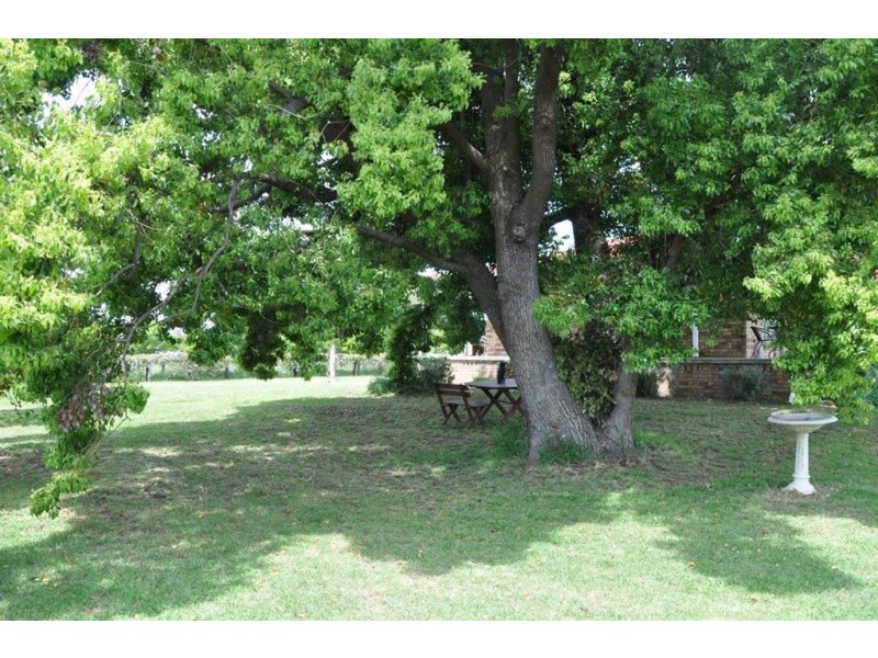 29 Liverpool St, Scone NSW 2337